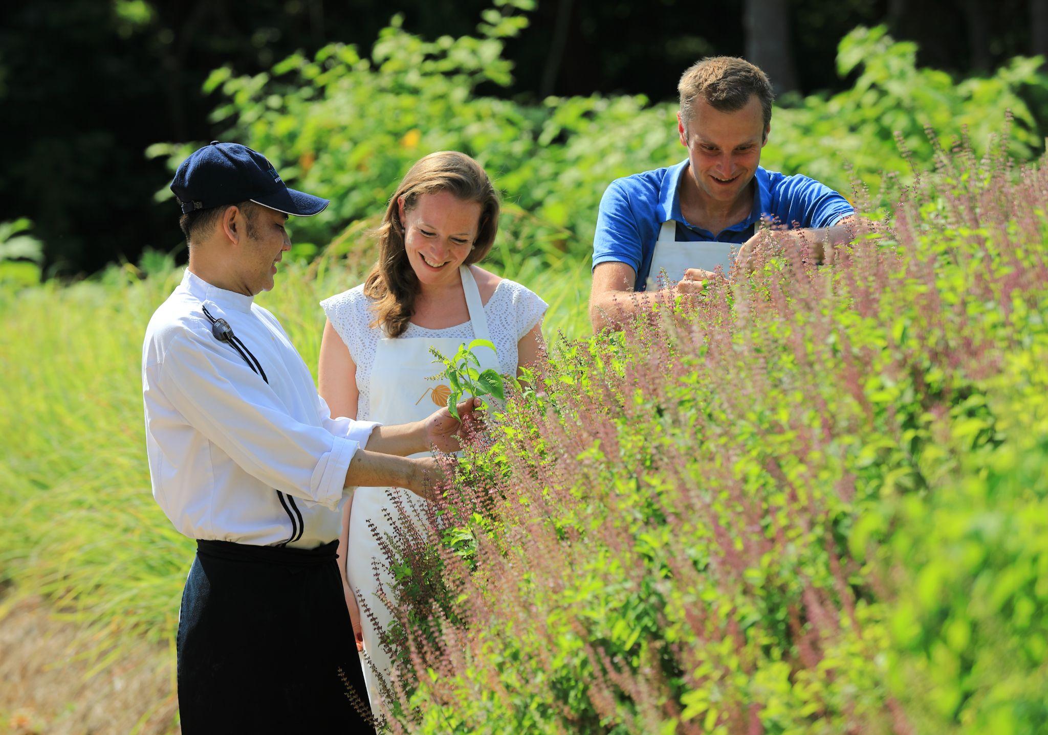 Family Wellness Retreats to Enjoy and Explore with Your Loved Ones-Image 4