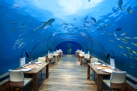 Conrad Maldives Rangali Islands Beyond Luxury-Image 5