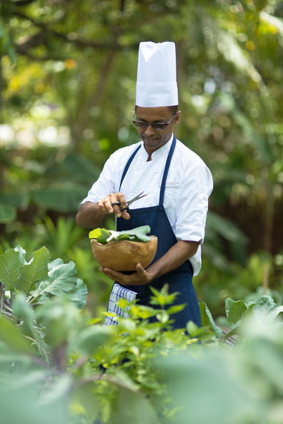 Explore the Best of Sustainable LUXURY at LUX South Ari Atoll, Maldives-Image 8
