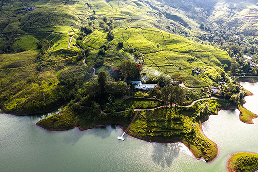 Leafy Affair 6 Authentic Tea Stays-Image 2