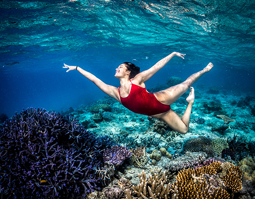 Australia Protecting the Marine Life of 3 Oceans-Image 3