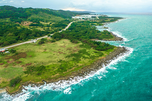 Preserving Jamaica's Blue Heart-Image 1