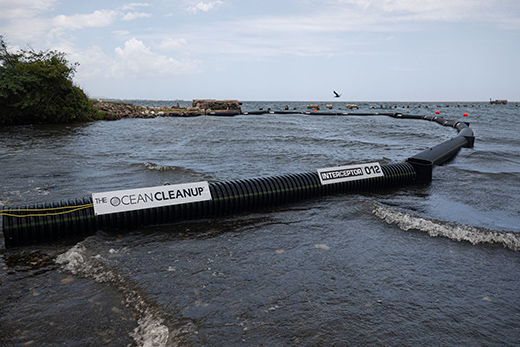 Preserving Jamaica's Blue Heart-Image 2