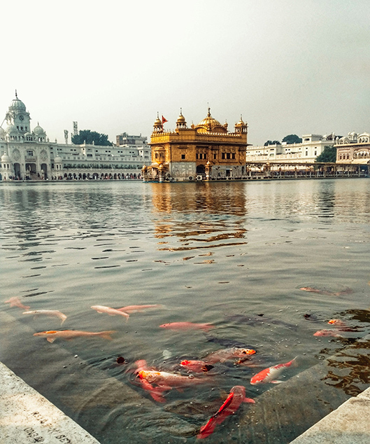 Sacred Journeys Exploring India's Top 7 Spiritual Destinations-Image 7