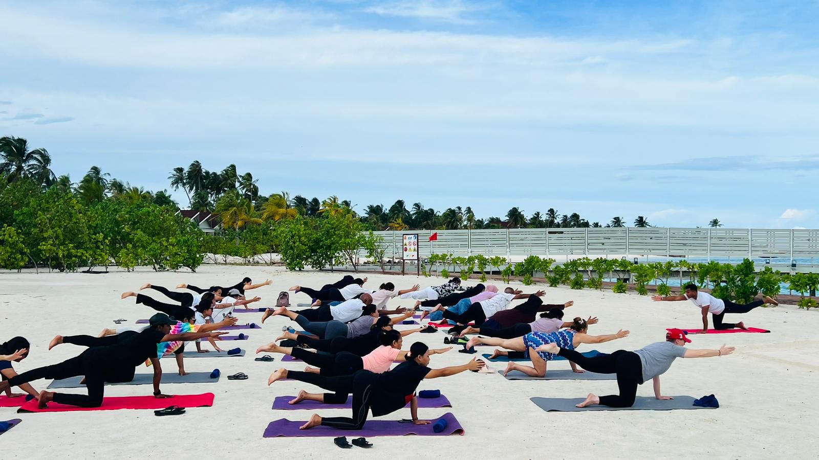 Yoga for Self & Society with ELENA-Image 2