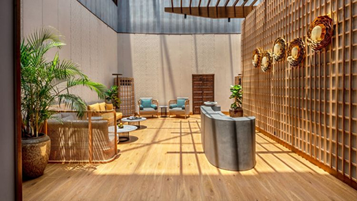 Discovering India's Top 12 Luxury Spas-Image 5