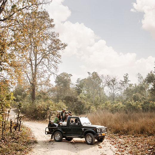 Tiger, Tiger Burning Bright!-Image 2