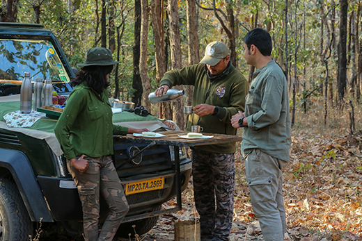 Tiger, Tiger Burning Bright!-Image 3