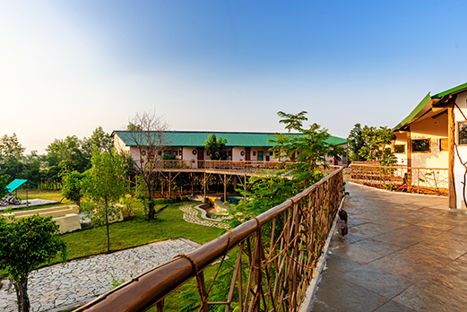 Tiger, Tiger Burning Bright!-Image 5