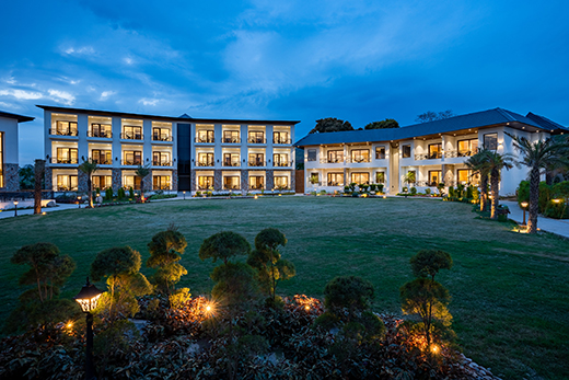 Tiger, Tiger Burning Bright!-Image 7