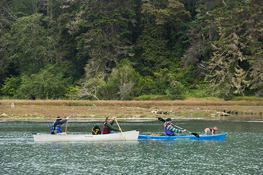 Glamorous Highways A Lavish Journey Through Northern California-Image 1