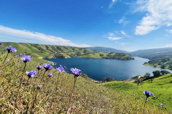 25 Unmissable Experiences in Tri-Valley
