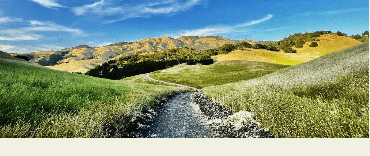 Discover Spring in Tri-Valley: 6 Experiences Not to Miss