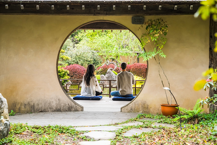 From Equine Therapy to Spas: California Is THE Place for a Wellness Vacation!
