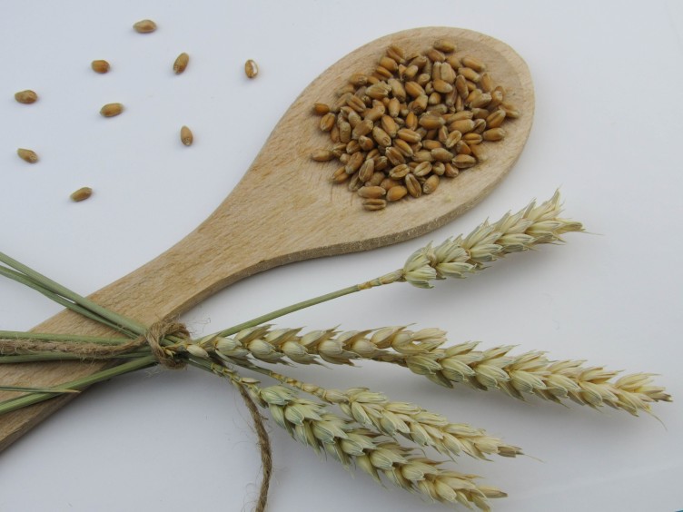 This Sustainable Superfood is the Future of Conscious Eating